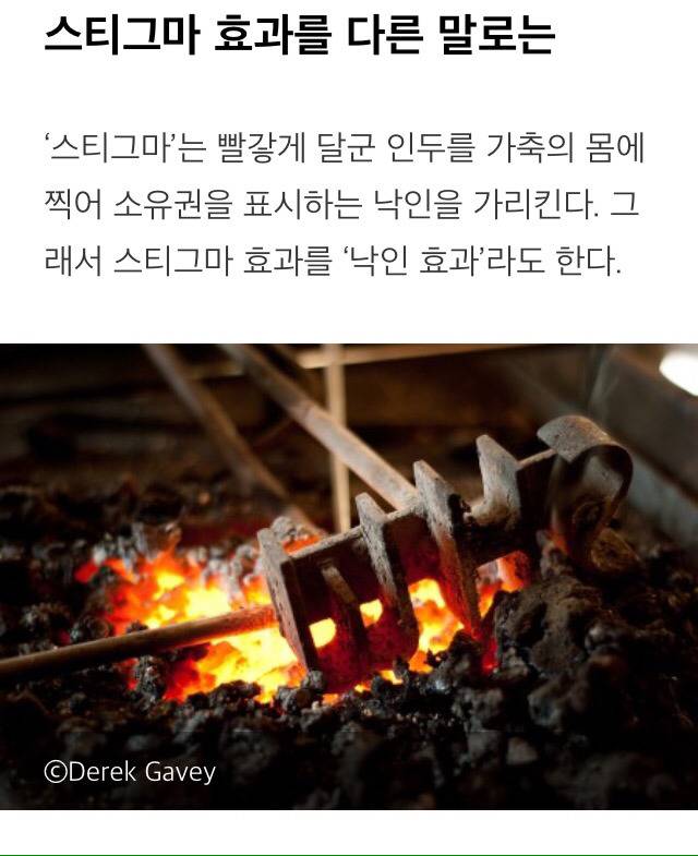 [알아두면좋은상식] 낙인효과 (Stigma Effect) | 인스티즈