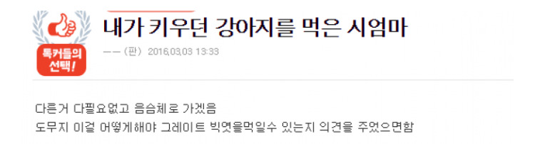 내가 키우던 강아지를 먹은 시엄마 | 인스티즈