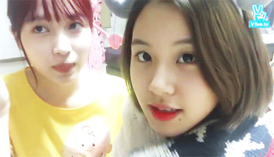 트와이스 채영 덕후.gif | 인스티즈
