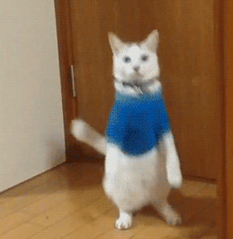 긴장감 백 배 일상에서 눈치 게임하는 순간들 6가지 | 인스티즈