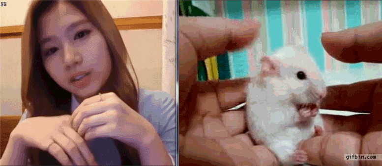 필사적으로 야동을보는 대한민국 | 인스티즈