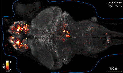  영국 BBC가 예측한 150년 후의 미래 | 인스티즈