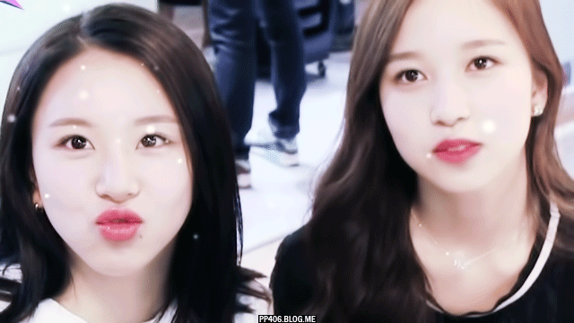 트와이스 채영 덕후.gif | 인스티즈