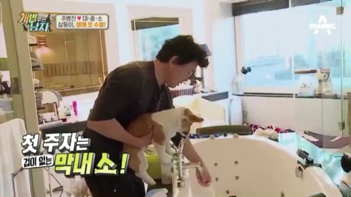 [개밥주는남자] 웰시코기 삼둥이 대중소의 일상.jpg | 인스티즈