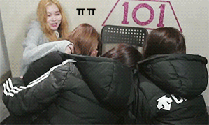 프로듀스101의 3대 美 | 인스티즈