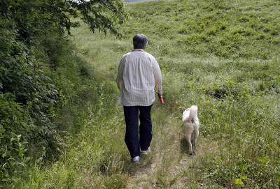 문재인 고양이,강아지 | 인스티즈