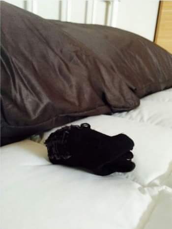 여자아이돌의 양말을 얻게된 한 남자의 사용법 | 인스티즈