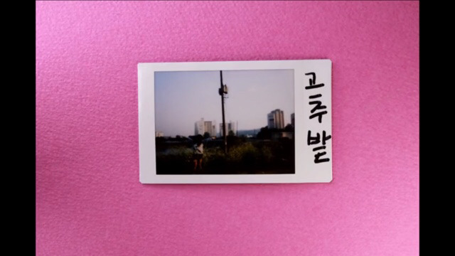 박막례 할머니에게 일주일동안 즉석 카메라를 맡겼을 때 | 인스티즈