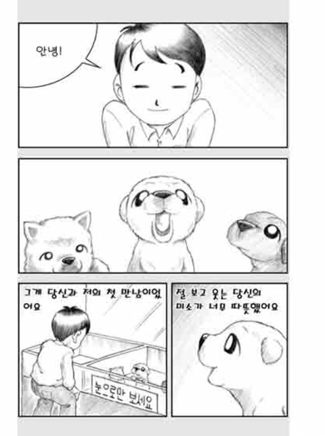 [눈물주의슬픔주의] 당신은 강아지에게 다정한 주인인가요? | 인스티즈