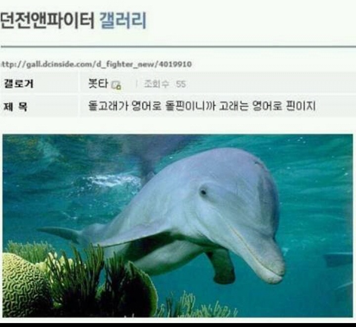 흔한 기적의 언어학자 | 인스티즈