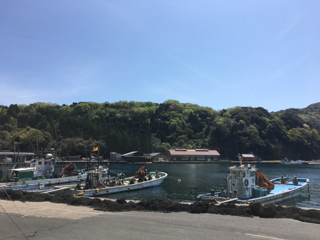 나홀로 교토여행 13박14일(4일차-1 이네초후나야,아마노하시다테) | 인스티즈