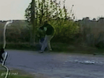 복수다 주인놈아.GIF | 인스티즈