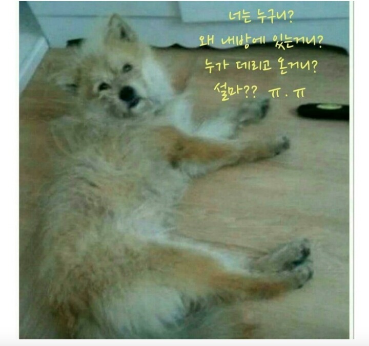 술마신 다음날.JPG | 인스티즈