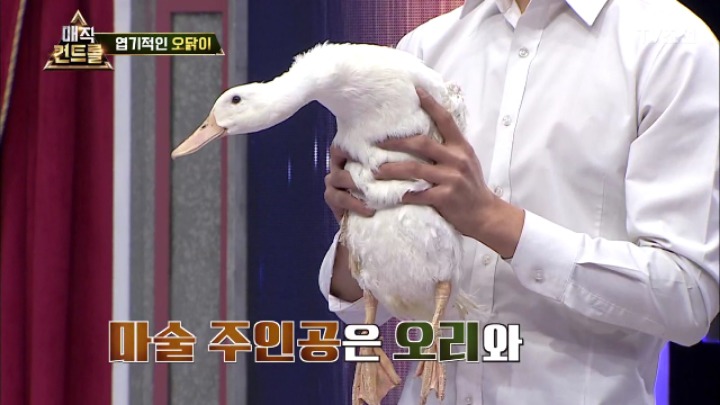 최현우 충격 엽기적인 동물마술 | 인스티즈