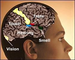 어느날... 당신에게 3가지 초능력이 주어진다면!? | 인스티즈
