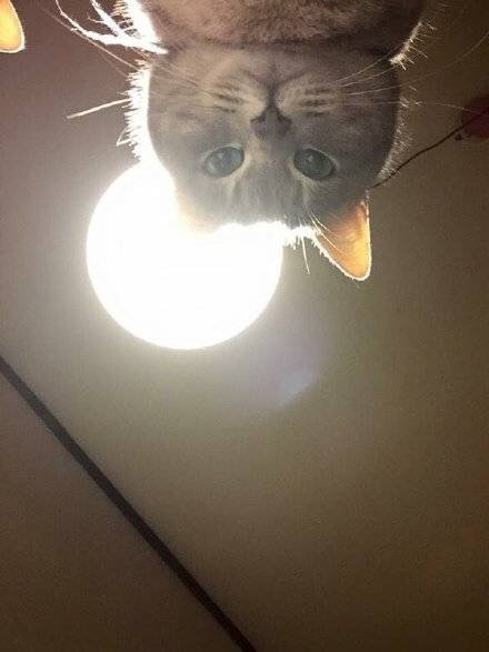 정신이 들었느냥 닝겐 | 인스티즈