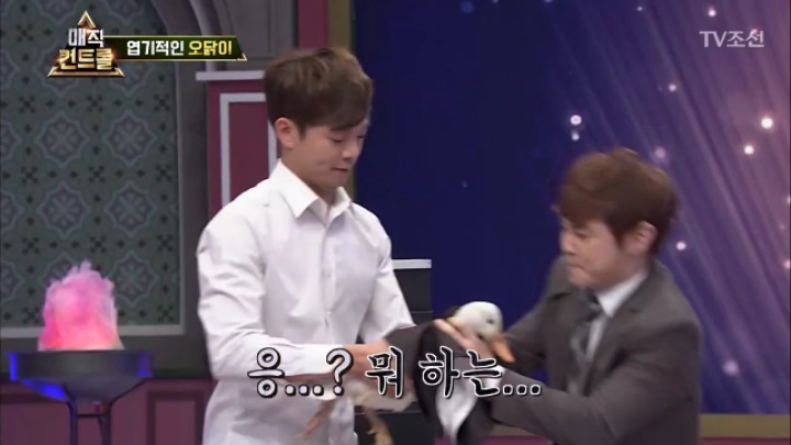 최현우 충격 엽기적인 동물마술 | 인스티즈