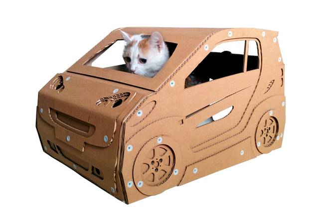 다양한 디자인의 고양이 박스하우스 | 인스티즈