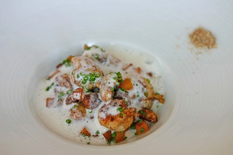 특이한 카레 요리들 | 인스티즈