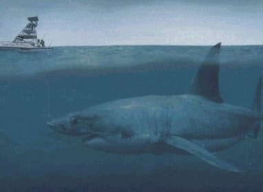 은근히 많은 사람들이 갖고 있는 공포증 | 인스티즈