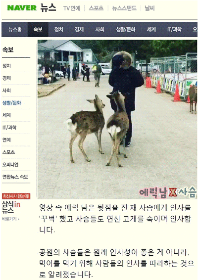 예의바르게 인사 하는 이유 ㄷㄷㄷㄷㄷㄷㄷㄷㄷㄷㄷㄷㄷㄷ.gif | 인스티즈