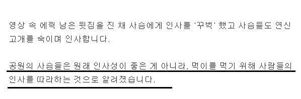 예의바르게 인사 하는 이유 ㄷㄷㄷㄷㄷㄷㄷㄷㄷㄷㄷㄷㄷㄷ.gif | 인스티즈