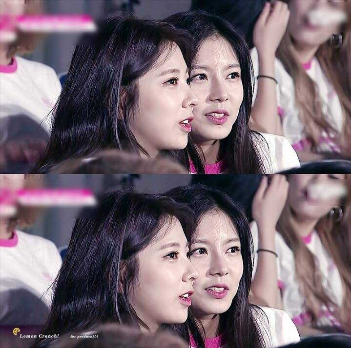 [프로듀스101] 이번에 방출될 확률이 가장 높은 연습생 | 인스티즈