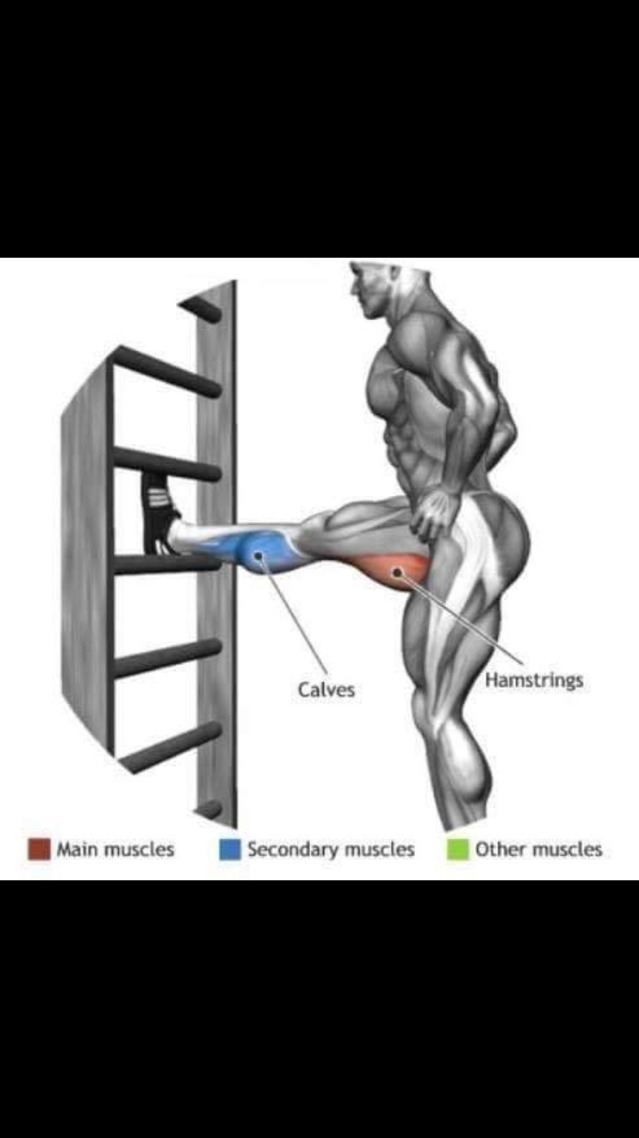 스트레칭간 근육 이완 부위 | 인스티즈