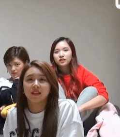 트와이스 묘이 미나리.jpgif | 인스티즈