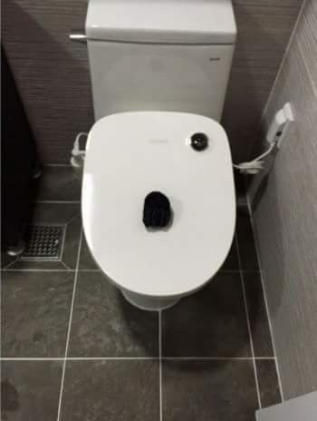 여자아이돌의 양말을 얻게된 한 남자의 사용법 | 인스티즈