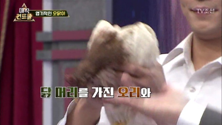 최현우 충격 엽기적인 동물마술 | 인스티즈