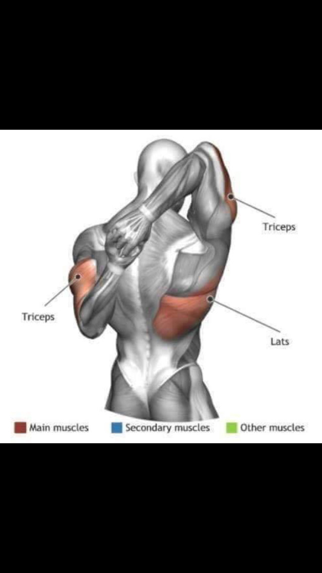 스트레칭간 근육 이완 부위 | 인스티즈