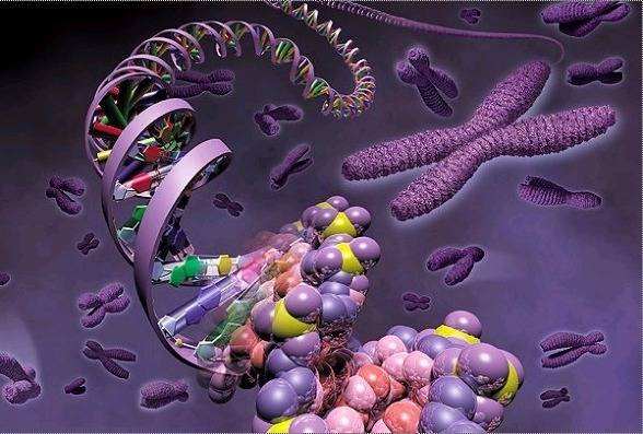 어느날... 당신에게 3가지 초능력이 주어진다면!? | 인스티즈