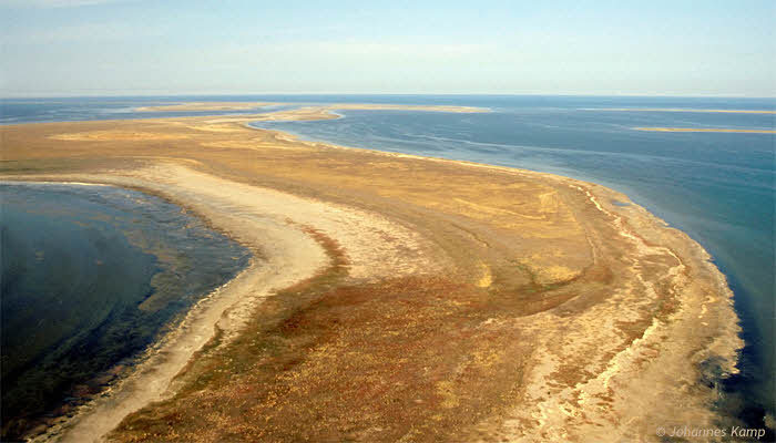  영국 BBC가 예측한 150년 후의 미래 | 인스티즈