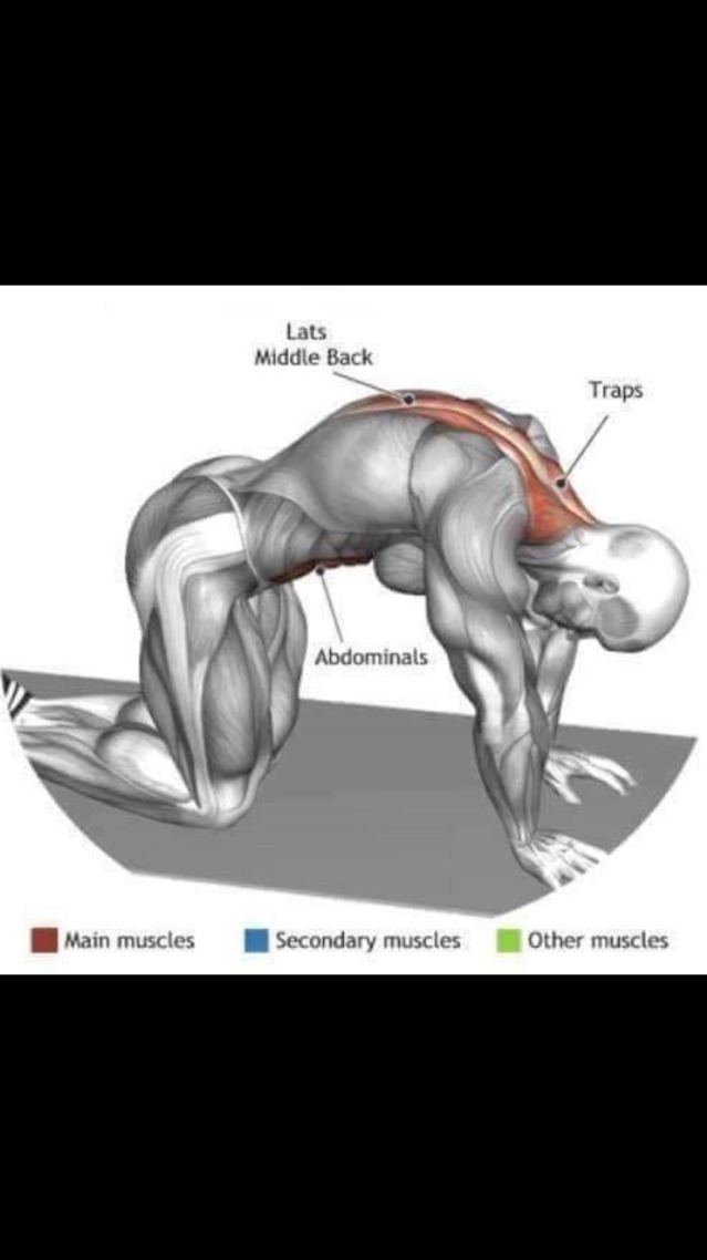 스트레칭간 근육 이완 부위 | 인스티즈