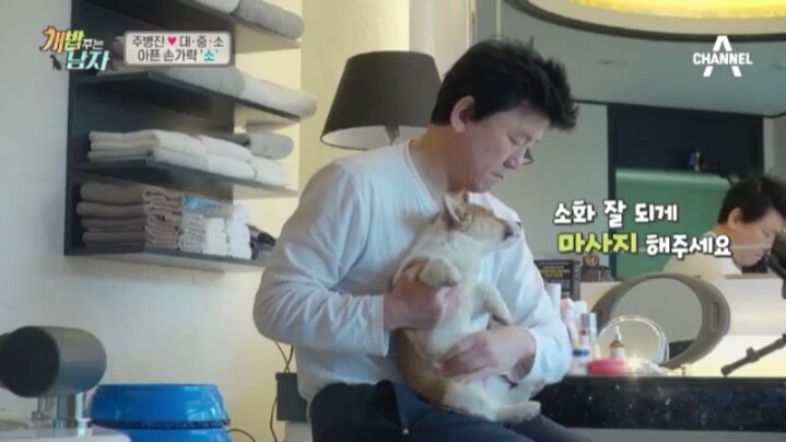 [개밥주는남자] 웰시코기 삼둥이 대중소의 일상.jpg | 인스티즈