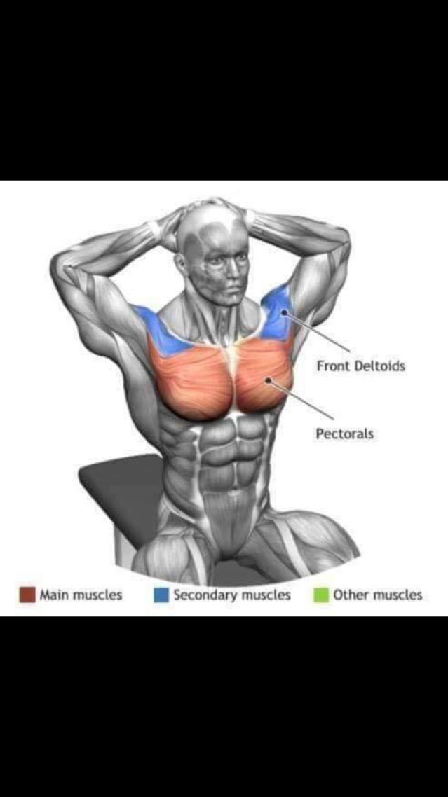 스트레칭간 근육 이완 부위 | 인스티즈