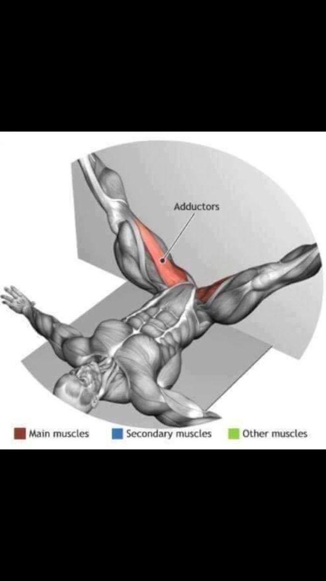 스트레칭간 근육 이완 부위 | 인스티즈
