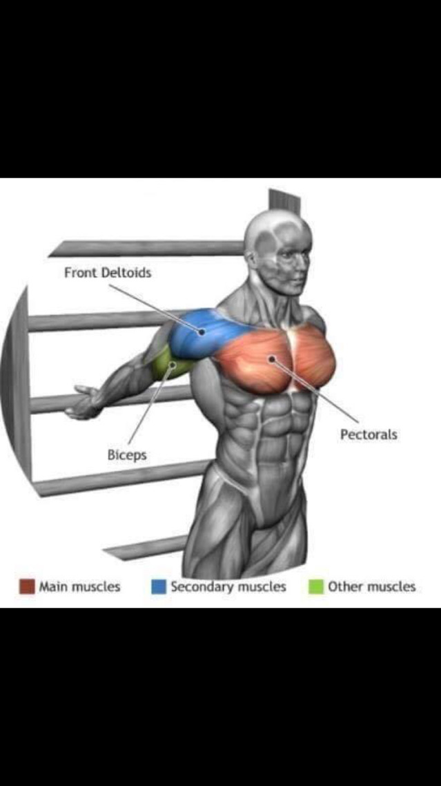 스트레칭간 근육 이완 부위 | 인스티즈