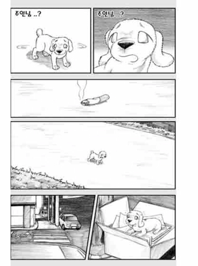 [눈물주의슬픔주의] 당신은 강아지에게 다정한 주인인가요? | 인스티즈