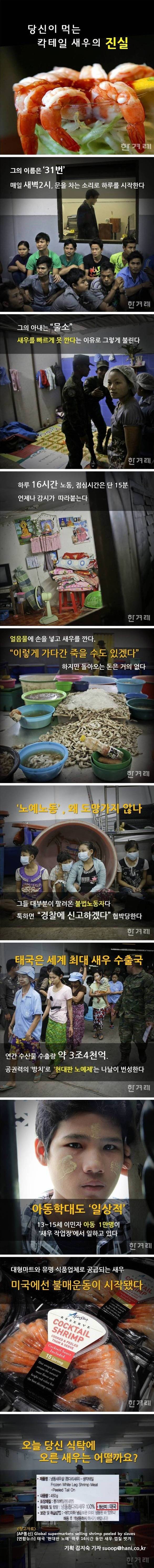 당신이 먹는 칵테일 새우의 진실 | 인스티즈