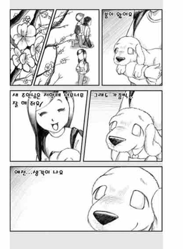 [눈물주의슬픔주의] 당신은 강아지에게 다정한 주인인가요? | 인스티즈