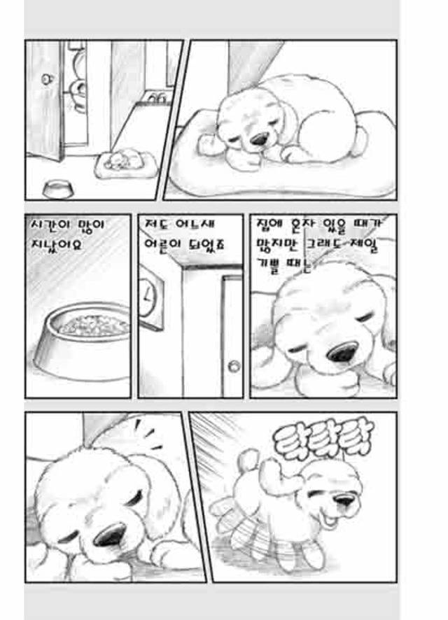 [눈물주의슬픔주의] 당신은 강아지에게 다정한 주인인가요? | 인스티즈