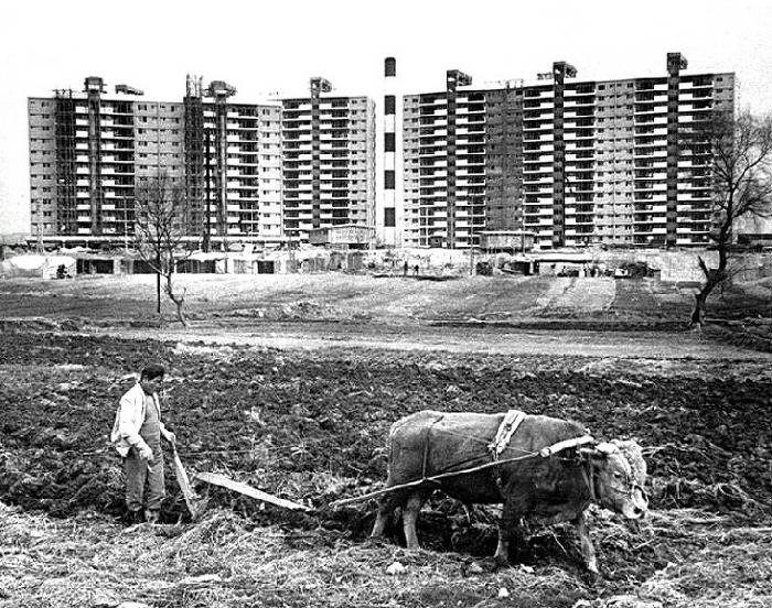 다음편은 1974년이라는 얘기가 있는 응답하라 드라마 / 1970년대 서울 분위기 | 인스티즈