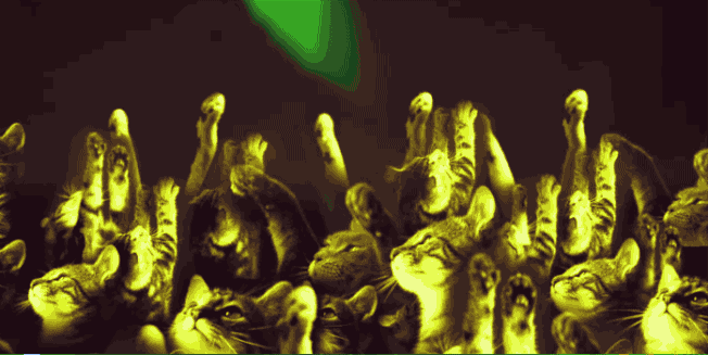 내 안의 댄스본능을 주체할 수 없다냥 | 인스티즈