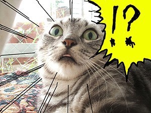 칼로리발란스의 충격적인 사실 | 인스티즈