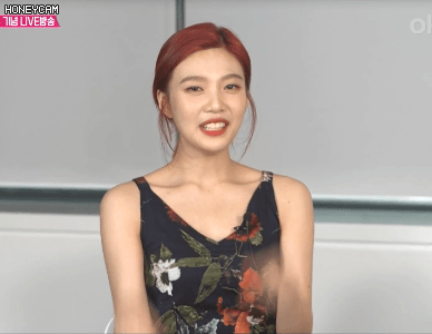 레드벨벳 멤버들의 하트 | 인스티즈