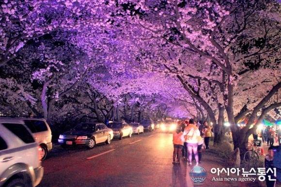 여자친구와 함께 떠나는 국내 최고의 벚꽃드라이브코스 | 인스티즈