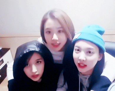 트와이스 채영 덕후.gif | 인스티즈