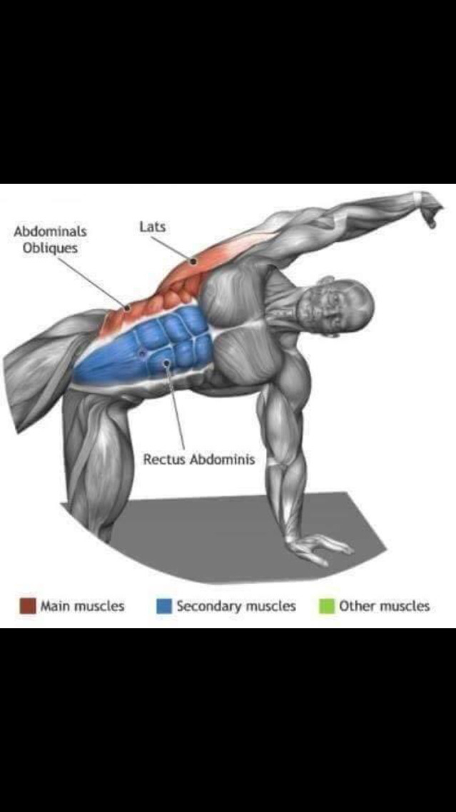 스트레칭간 근육 이완 부위 | 인스티즈
